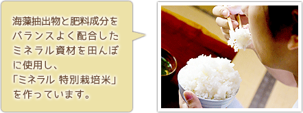 海藻抽出物と肥料成分をバランスよく配合したミネラル資材を田んぼに使用し、「ミネラル 特別栽培米」を作っています。