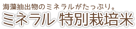 海藻抽出物のミネラルがたっぷり。ミネラル 特別栽培米